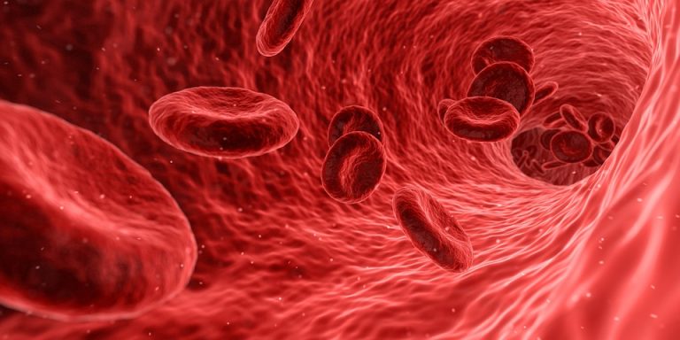 augmenter les globules blancs